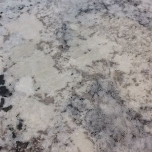 Meet your Posher, Ellen